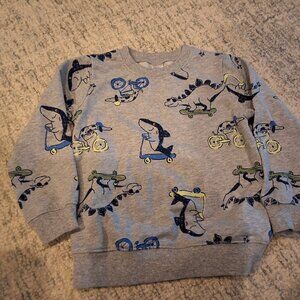 Boys sweat shirt